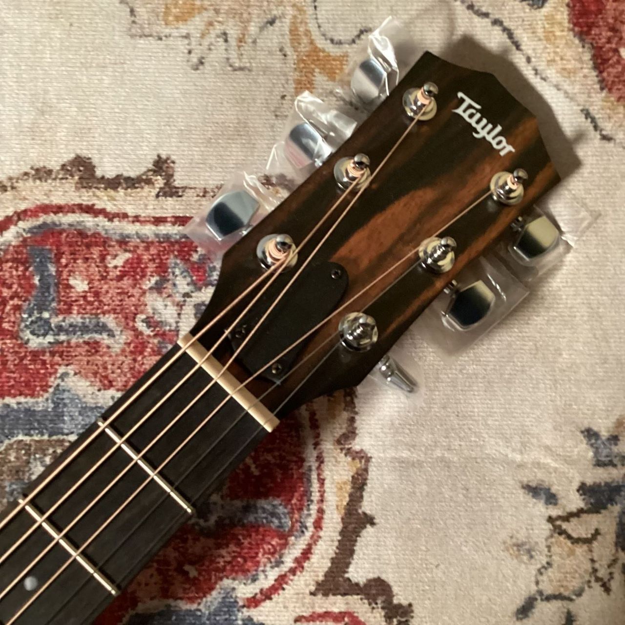 Taylor LTD EG Academy 12e エレアコギター／島村楽器オリジナルモデル