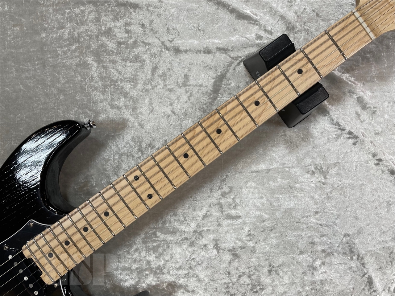 EDWARDS E-SNAPPER-AS/M【Solid Black】（新品/送料無料）【楽器検索