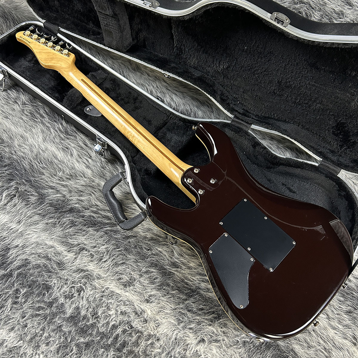 国内初の直営店 SCHECTER Box IN Geek - NV-III ギター - ギター
