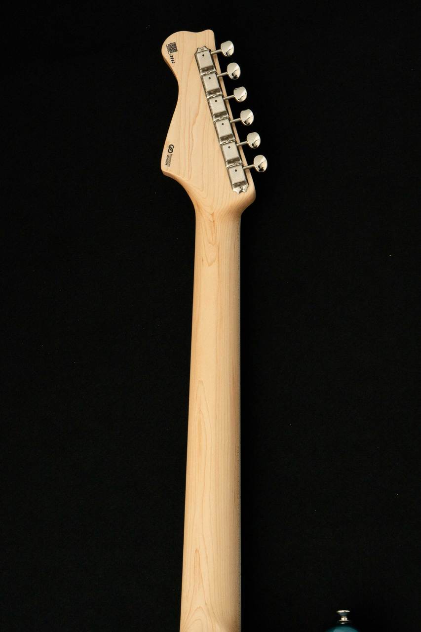FREEDOM CUSTOM GUITAR RESEARCH Custom Order Retro Series JM
