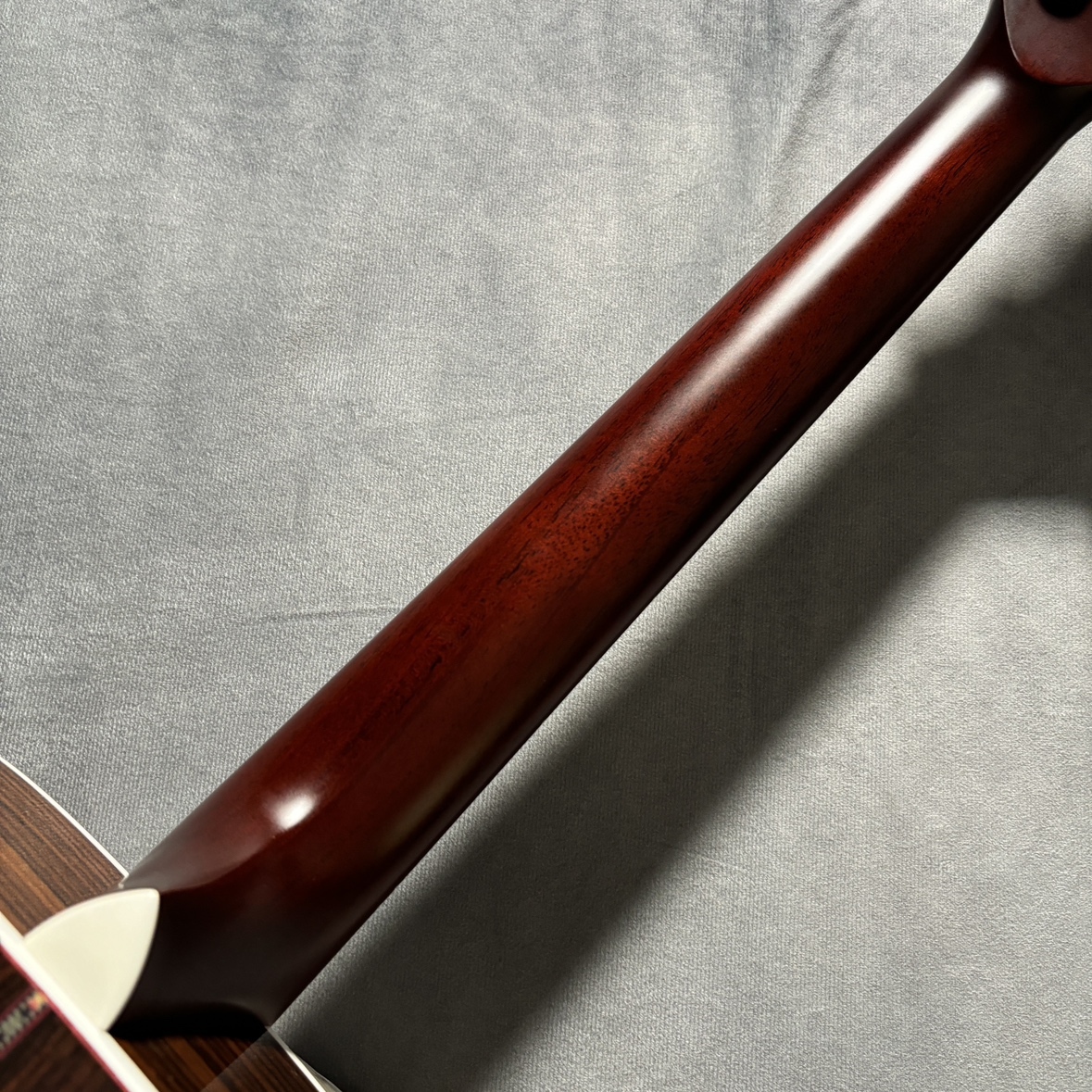 Headway The Five/STD Type D（新品）【楽器検索デジマート】