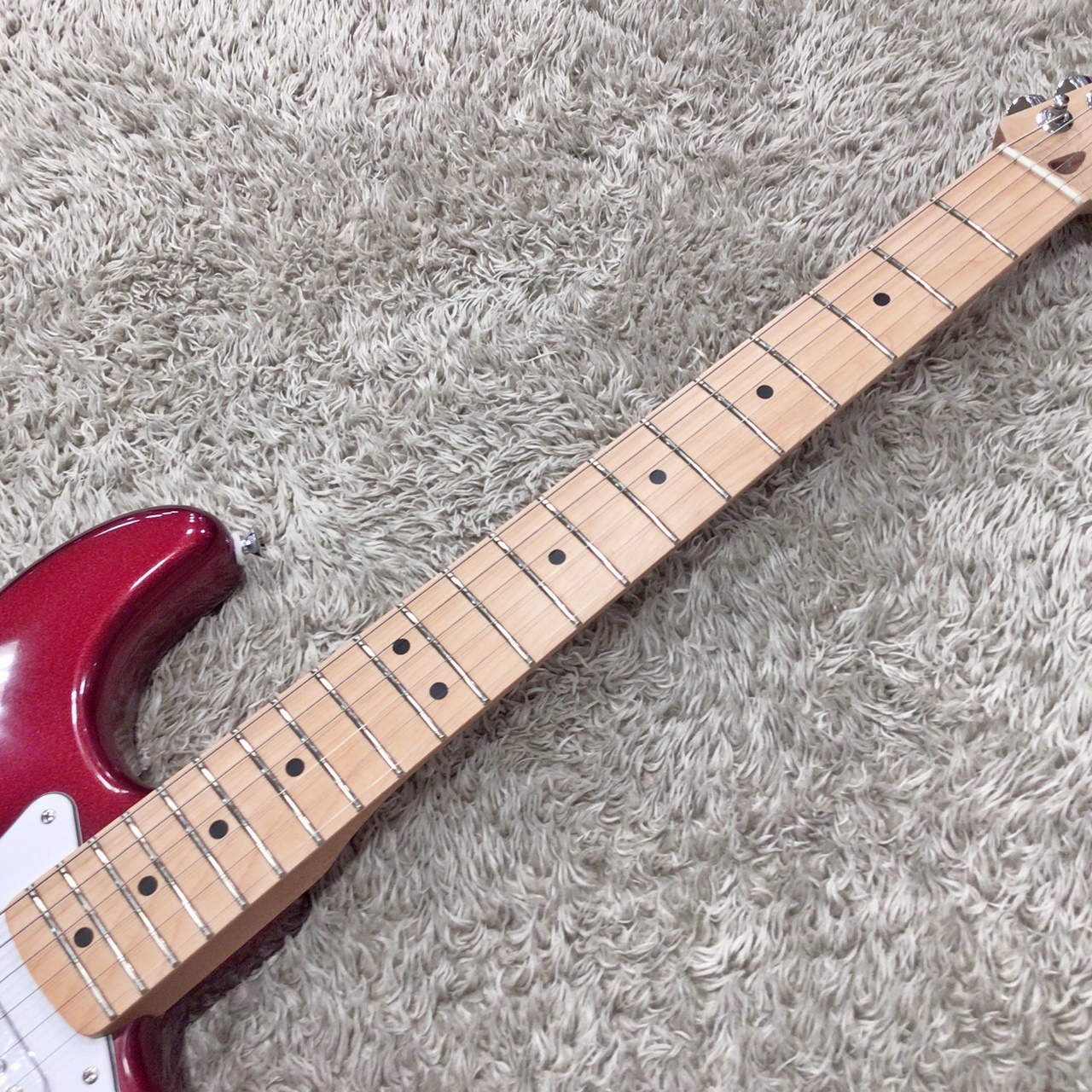 Fender Standard Stratocaster Candy Cola / Maple 【2025年NEW