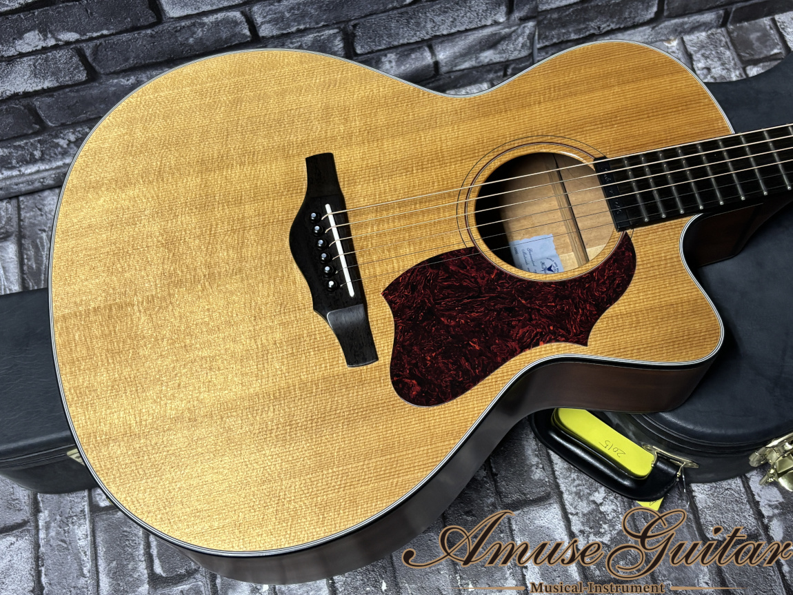 K.Yairi TRINITY 80th 2015年製【Shadow Nano Mag PU】w/Original Hard