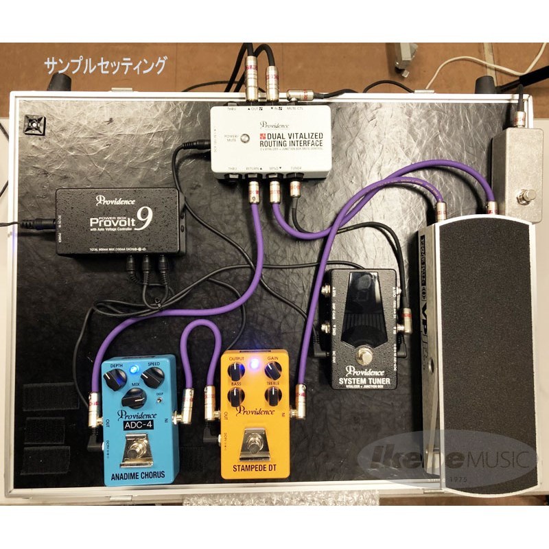 Providence DVI-1M [DUAL VITALIZED ROUTING]（新品）【楽器検索