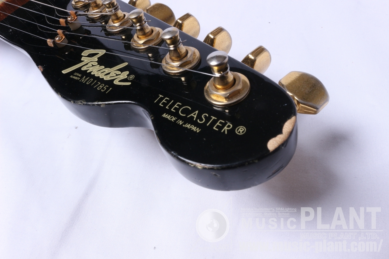 Fender Japan TLG80-55（中古/送料無料）【楽器検索デジマート】