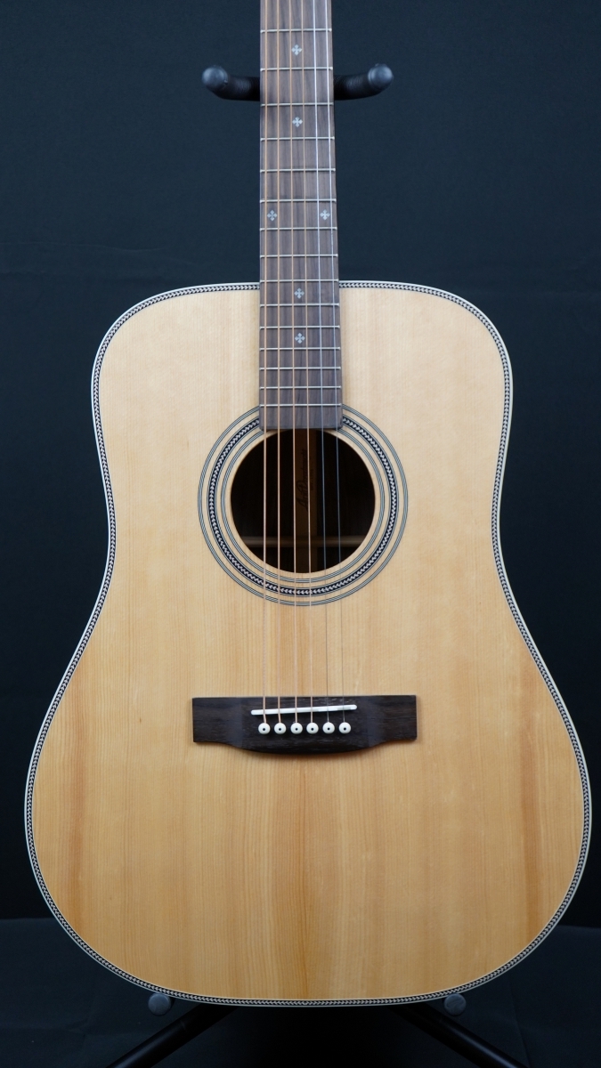 Aria Dreadnought AD-515 - 楽器、器材