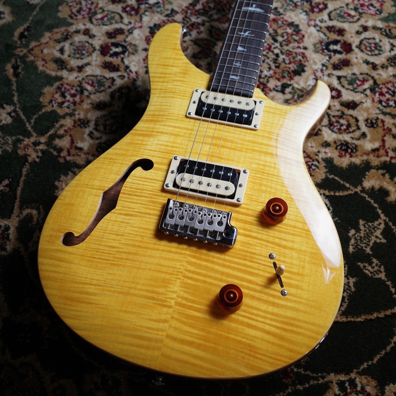 Paul Reed Smith(PRS) (ポールリードスミス) SE Custom22 Semi Hollow