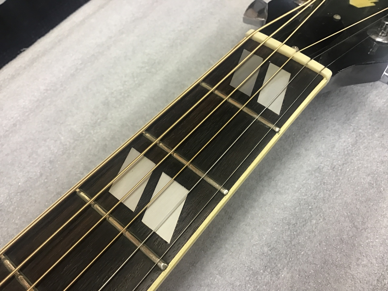 Rider J-300D（中古）【楽器検索デジマート】