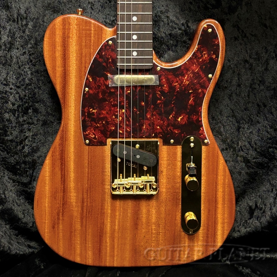 Tokai ATE-103G NR1【カタログ外モデル】（新品）【楽器検索デジマート】