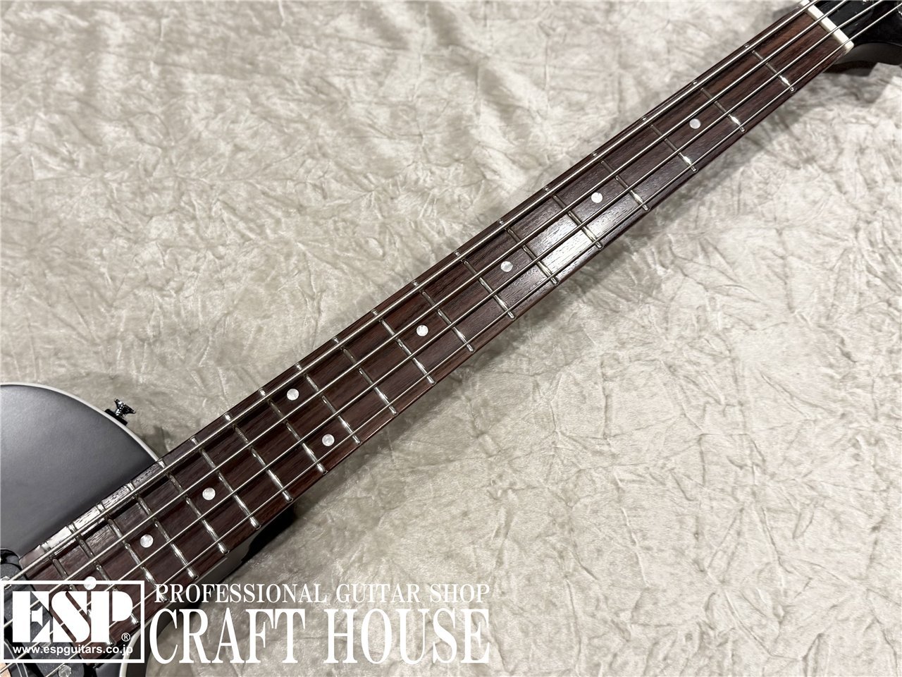 GrassRoots G-AC-BASS / See Thru Black Satin（新品/送料無料）【楽器