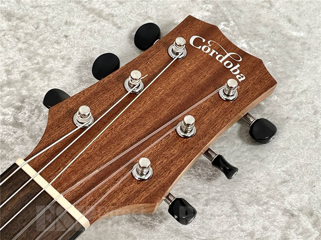 Cordoba MINI II MAHO（新品/送料無料）【楽器検索デジマート】