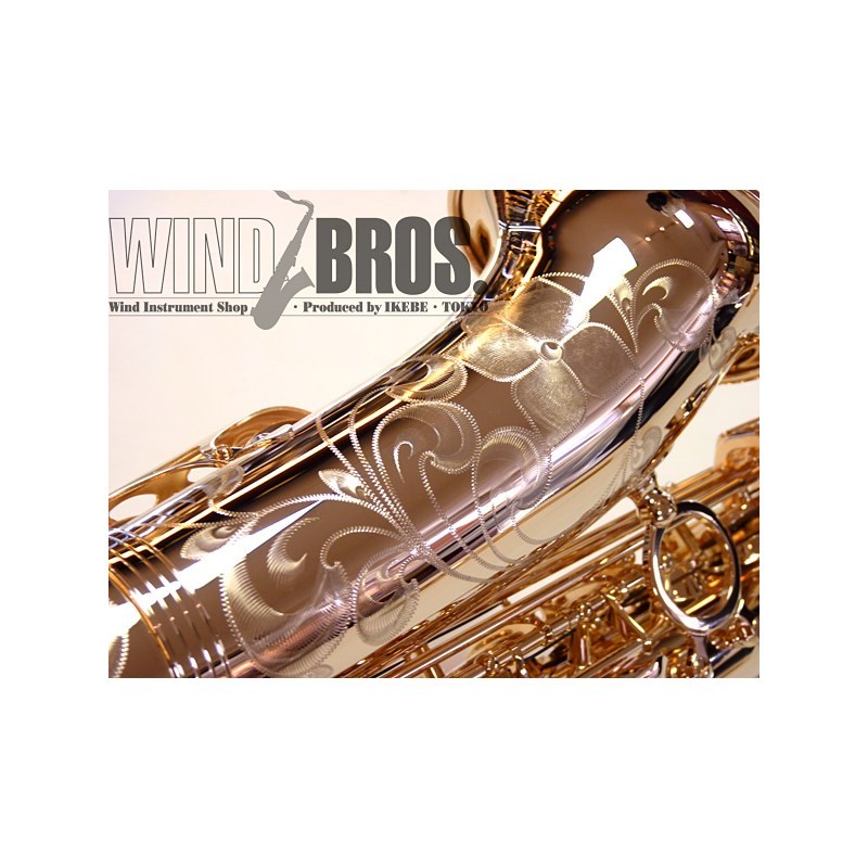 YANAGISAWA 【受注停止中】 アルトサックス ヤナギサワ A-WO37PGP