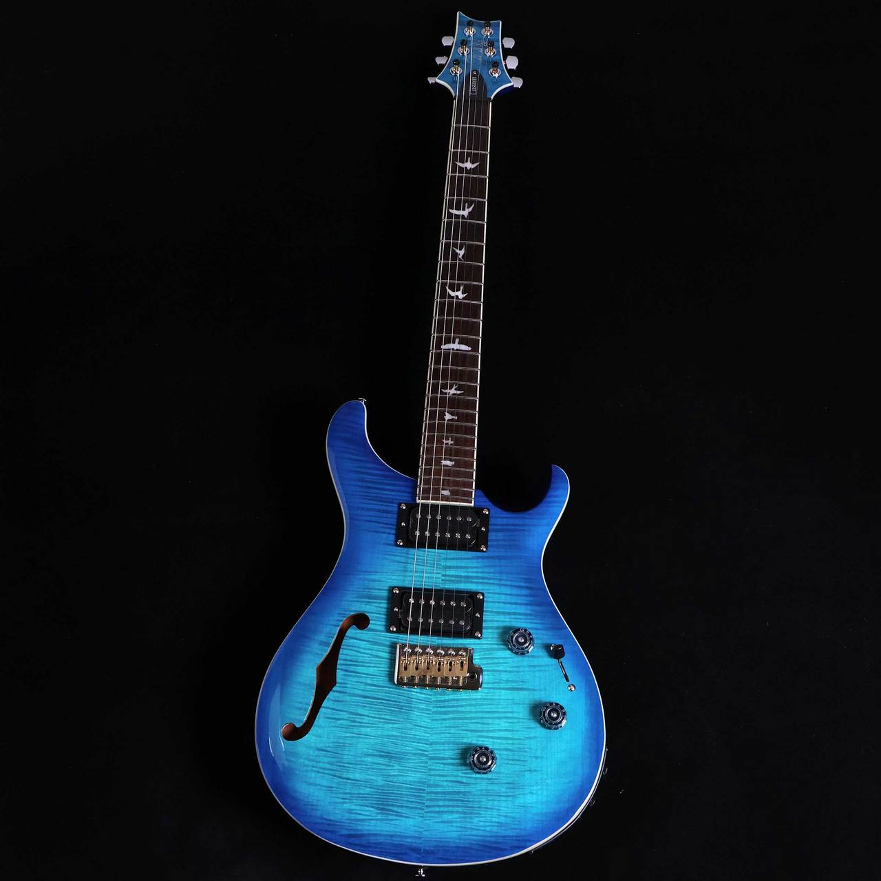 Paul Reed Smith(PRS) SE Custom24 Semi-Hollow Piezo 【未展示品