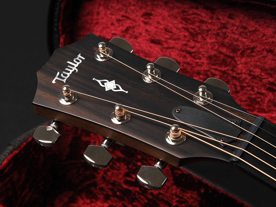Taylor 312ce V-Class（新品/送料無料）【楽器検索デジマート】
