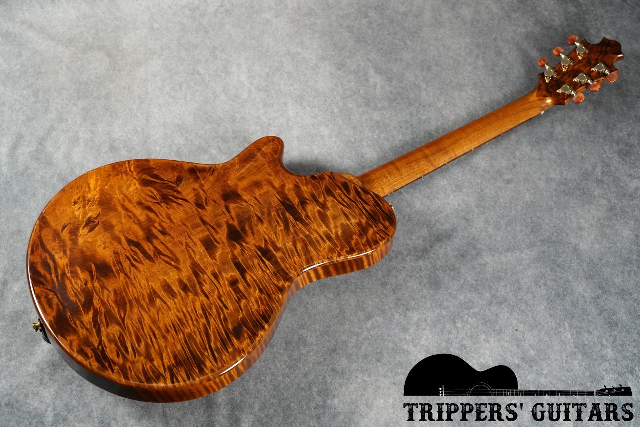 Nishigaki Guitars Arcus Style-N (2024)（中古）【楽器検索