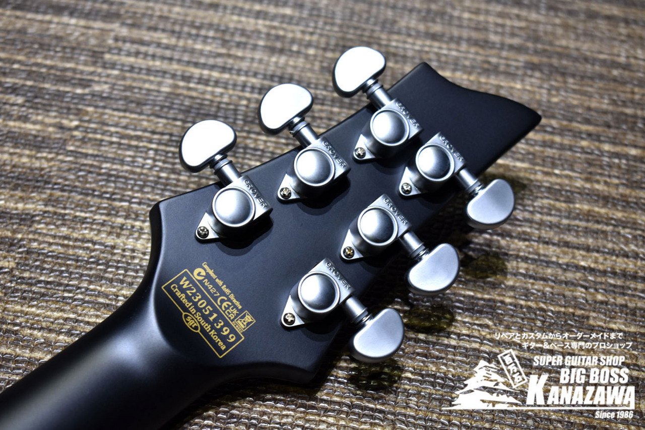 SCHECTER DAMIEN PLATINUM-6 / Satin Black（新品/送料無料）【楽器