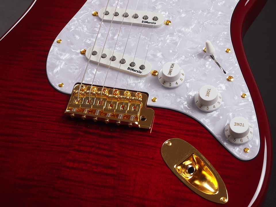 Fender Richie Kotzen Stratocaster Maple Fingerboard ~Transparent 