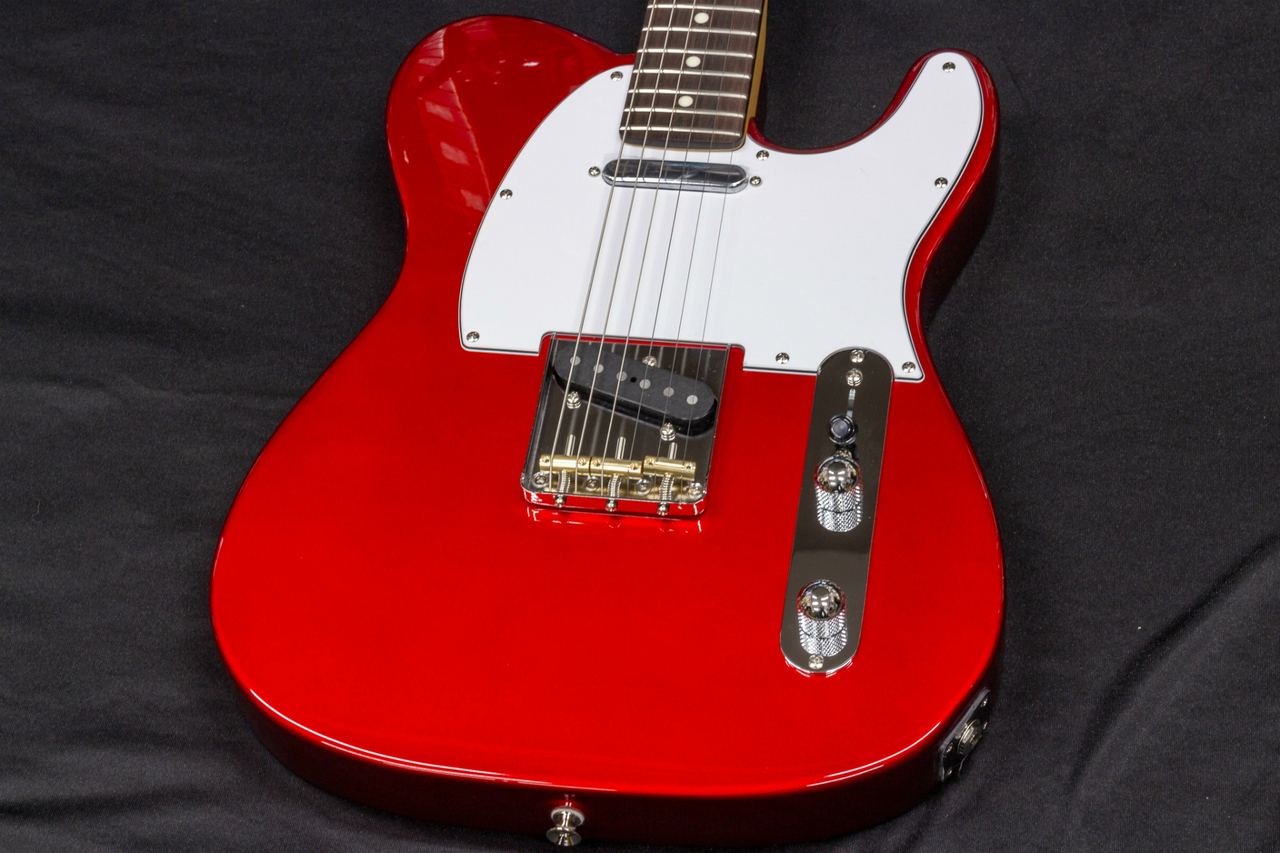 FUJIGEN(FGN) BCTE100RBD-CAR/01 C240240 3.69kg【TONIQ横浜
