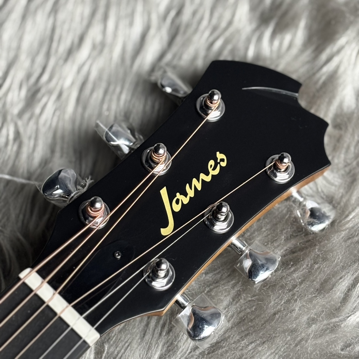 James J-100A SPT アコースティックギター ギグケース付属 スプルース