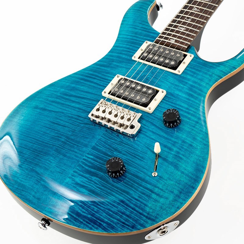 Paul Reed Smith(PRS) SE Custom 24 (Blue Matteo) 【Japan Special 