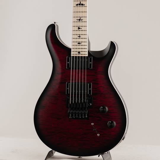 PRS paul reed smith Dustie Waringモデル PRS Paul Reed Smith Dustie Waring CE24 Electric Guitar | zZounds