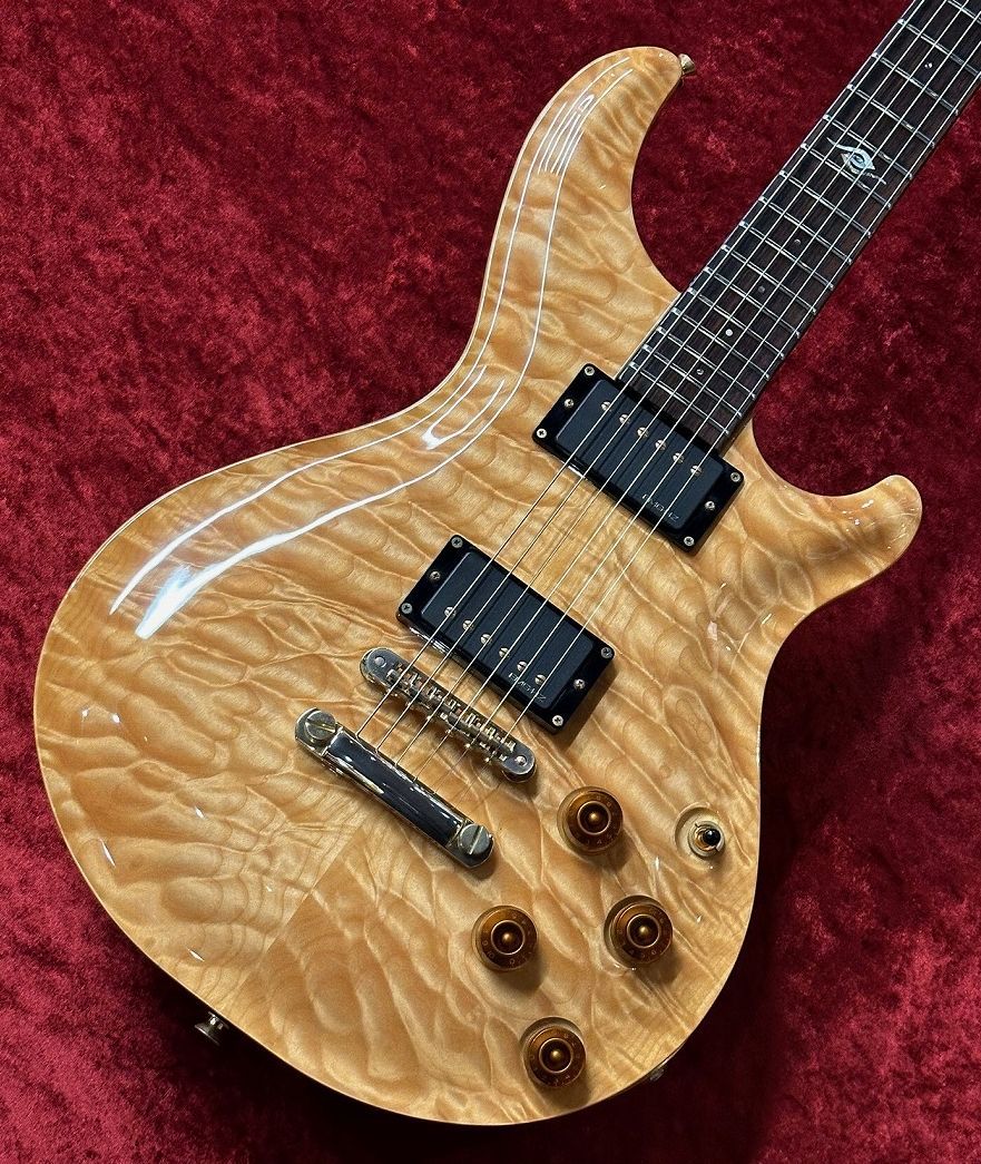 sio666様 専用DEAN Hard Tail Pro 日本製PRS