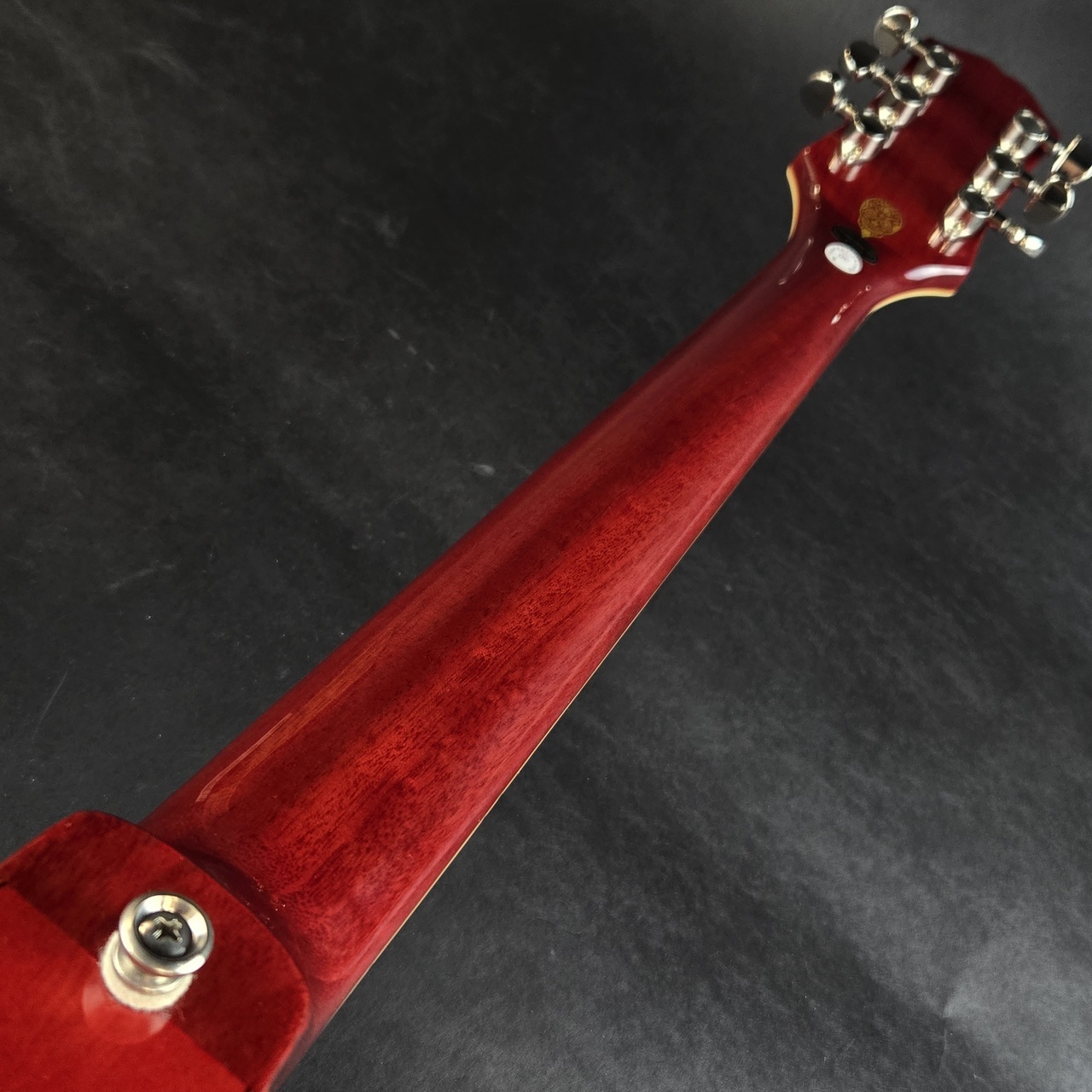 Epiphone Shinichi Ubukata ES-355 Ver.02 - Sixties Cherry【現物画像