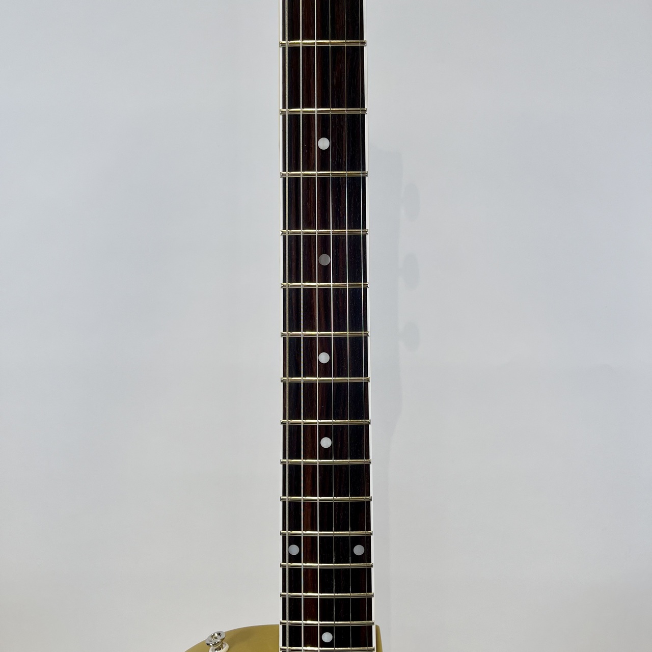 Tokai LSS136（新品）【楽器検索デジマート】