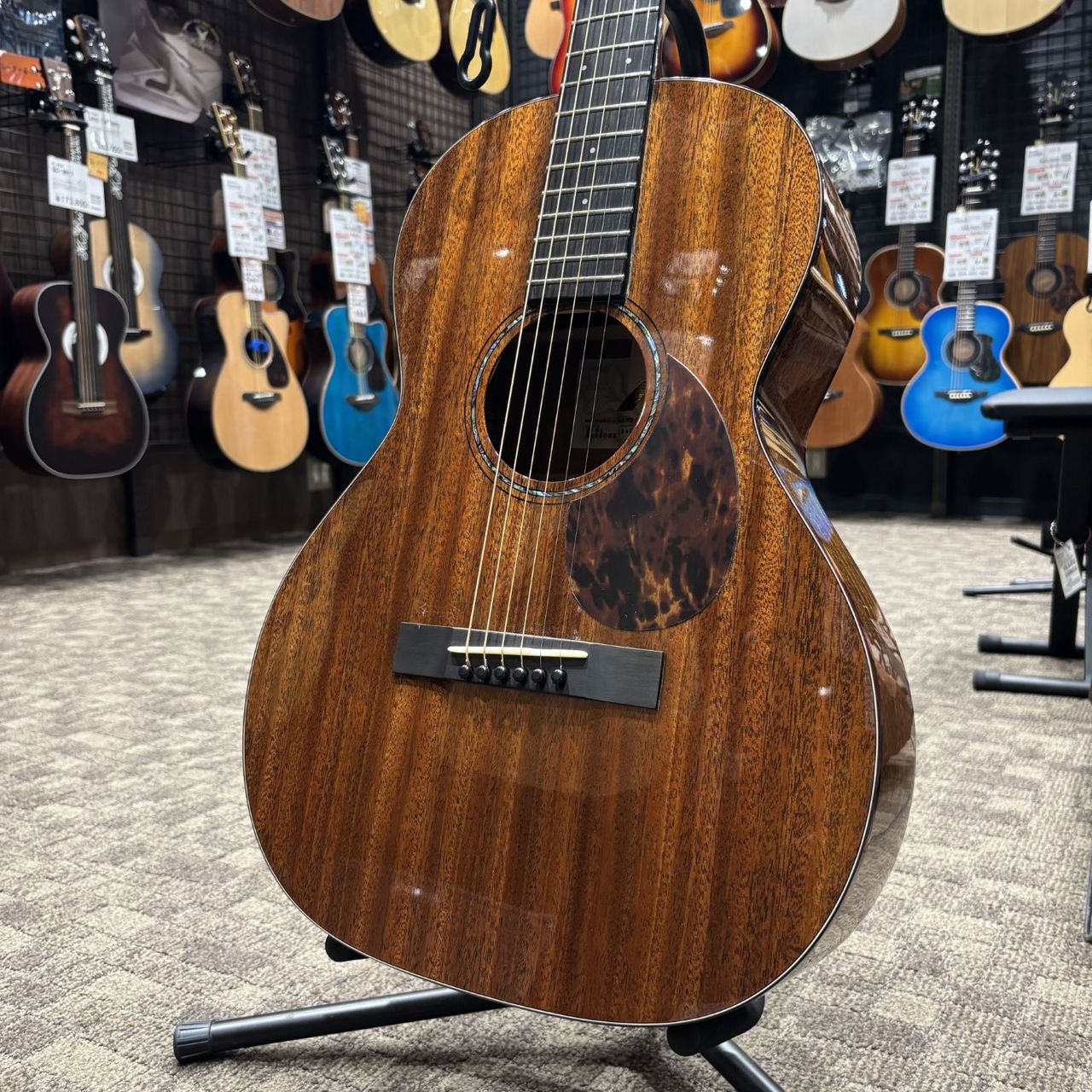 Morris 【現物写真】Y-91 MARRONE（新品/送料無料）【楽器検索デジマート】