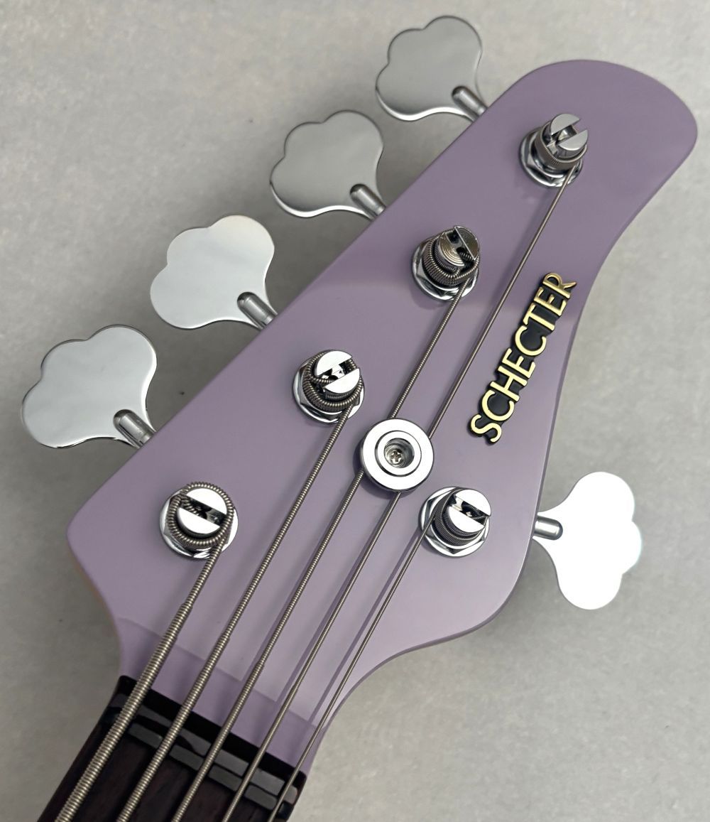 SCHECTER AC-EXB-5-AveMujica/Timoris/SIG【NEW】【即納可能】（新品