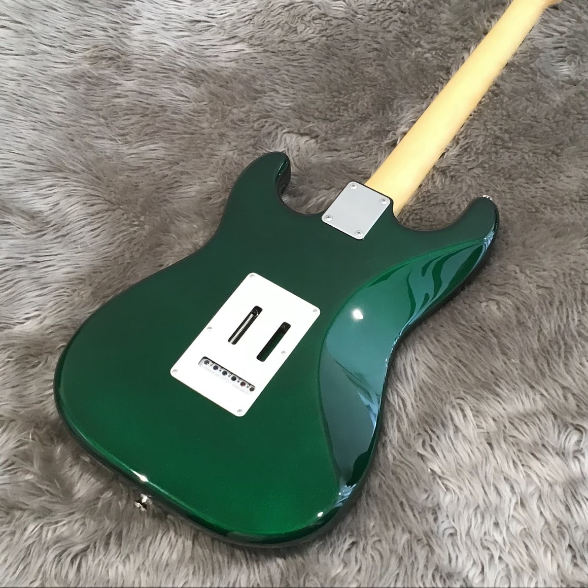 FUJIGEN(FGN) (フジゲン)NST110RAL/01（色CAG/キャンディ