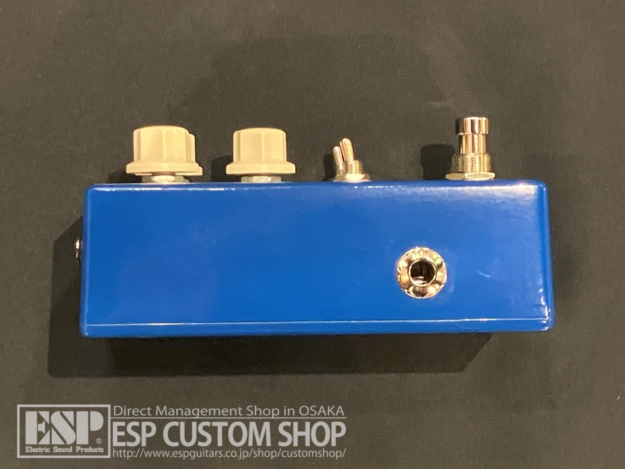 Umbrella Company Mayonaise Fuzz（新品）【楽器検索デジマート】