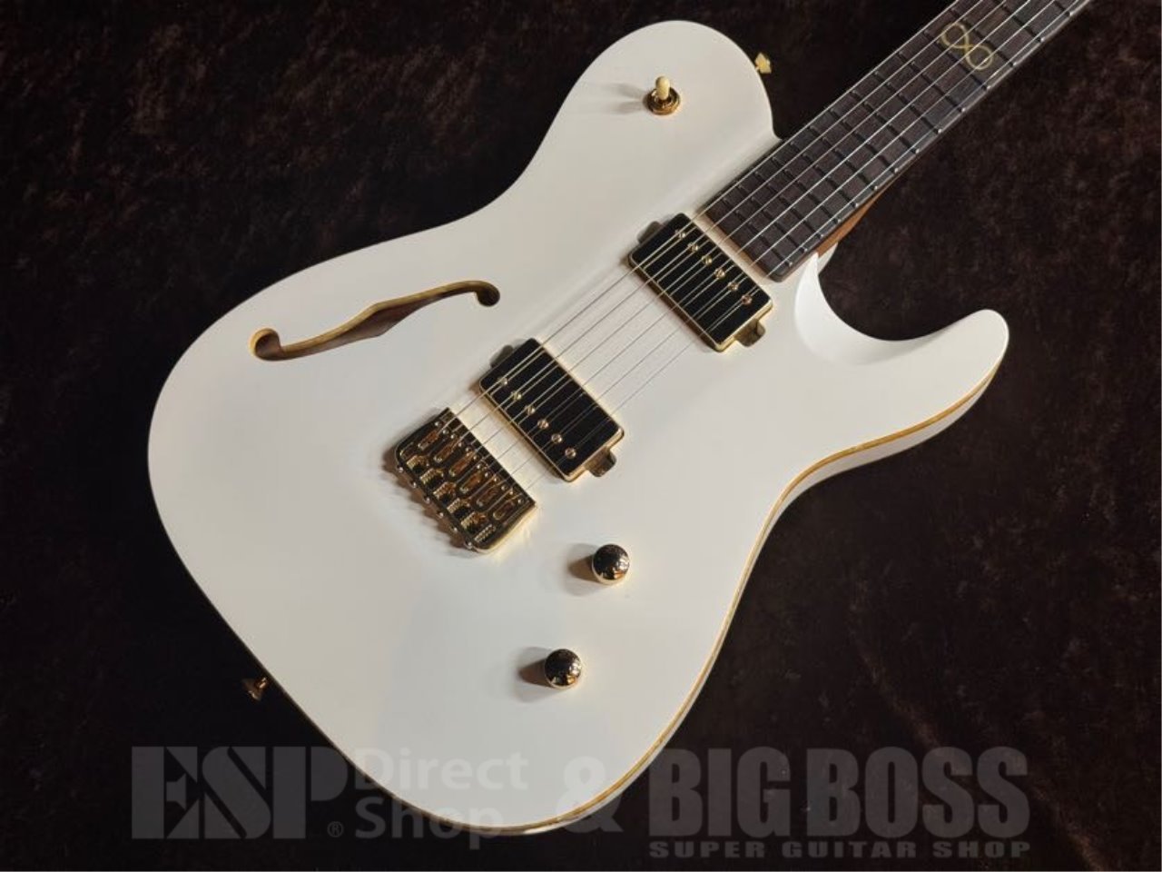 白ロム仕様　サブキャパシタ交換済　ブラックラグーン CHAPMAN GUITARS SAR63 Semi Hollow【STONE WHITE SATIN】（新品特価