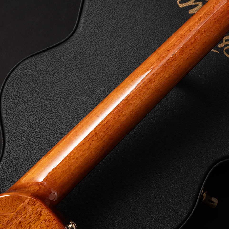 Bromo Guitars BEN2C Trans Black （B級特価）【楽器検索デジマート】