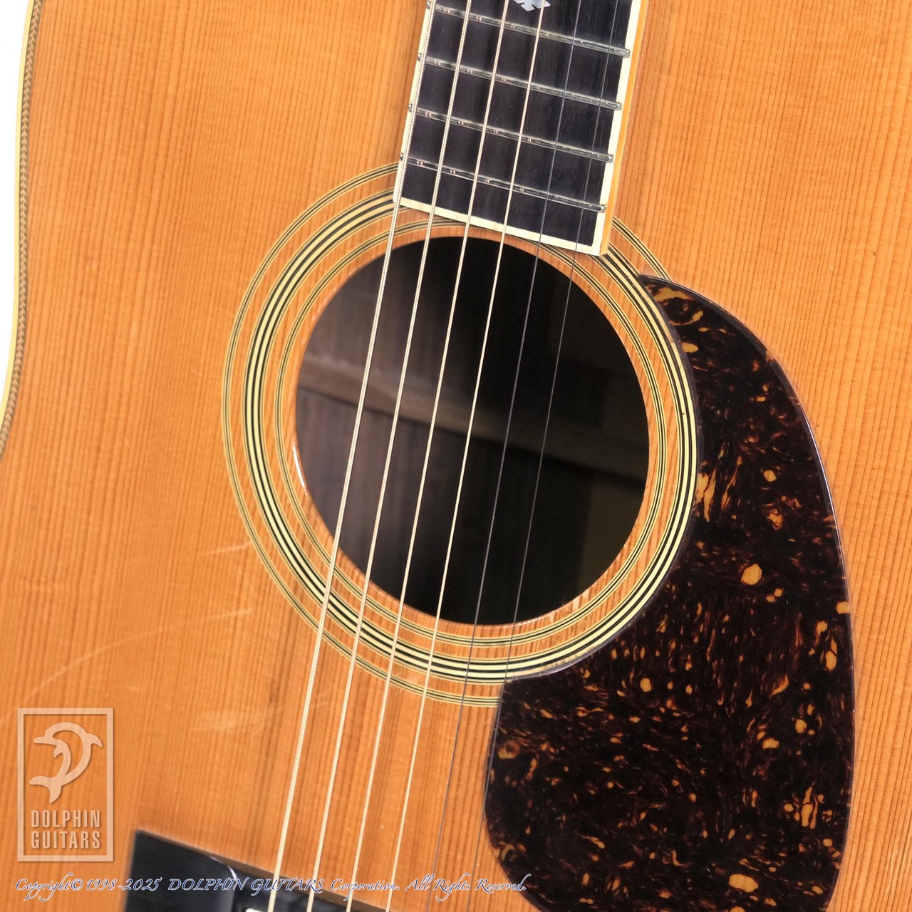 BlueBell W-1000（中古）【楽器検索デジマート】
