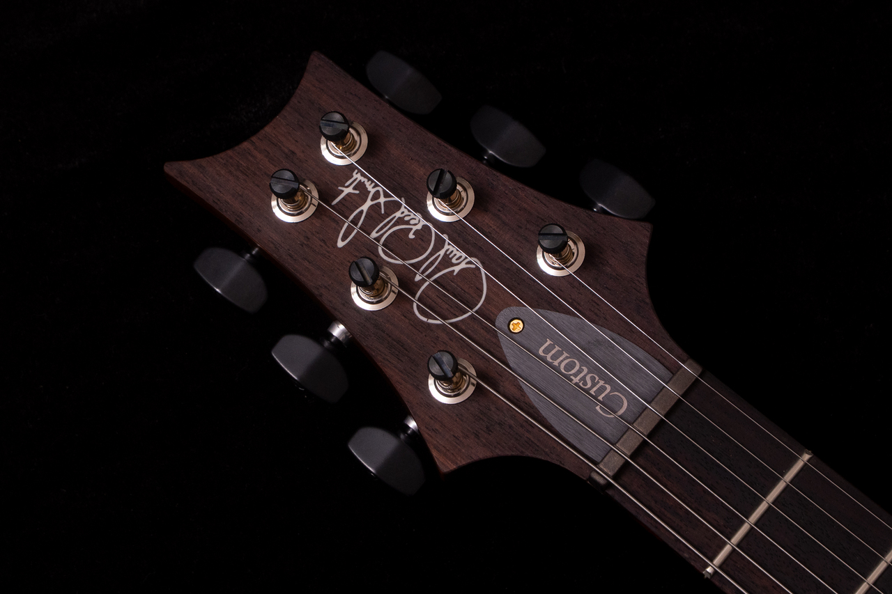 Paul Reed Smith(PRS) Custom 24 10Top Arctic Blue 2025 #421933 3.51