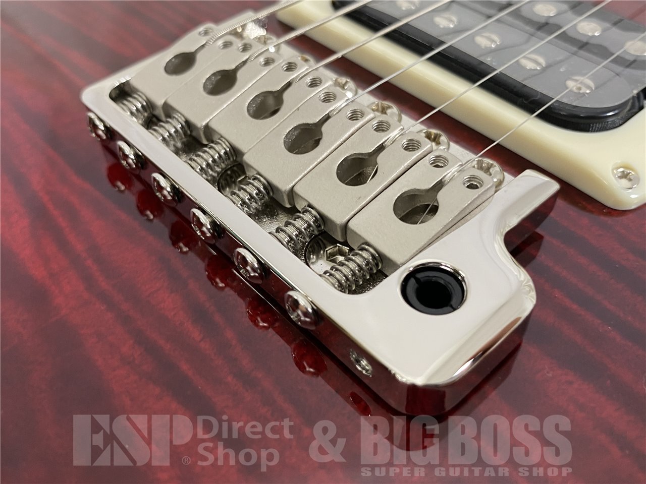 Paul Reed Smith(PRS) 2025 SE Custom 24 (Fire Red Burst)（新品/送料