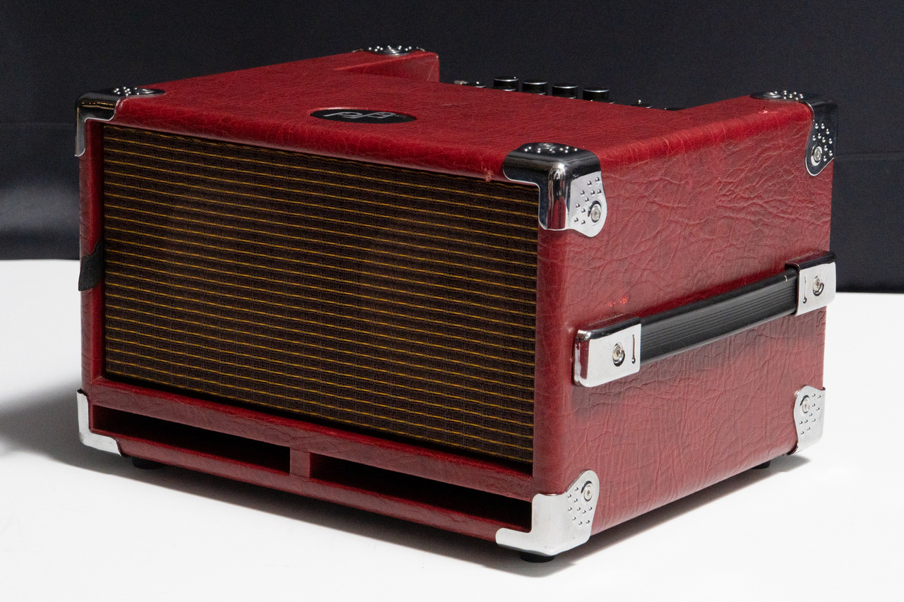 Phil Jones Bass ベース用 BASS CUB BG-100 Amazon.co.jp: Phil Jones Bass/Bass Cub (BG-100)【フィル
