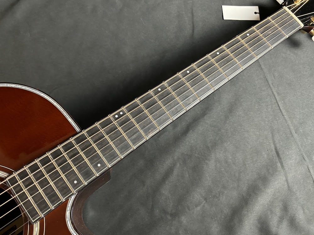 HISTORY NT-301/Ca（新品/送料無料）【楽器検索デジマート】
