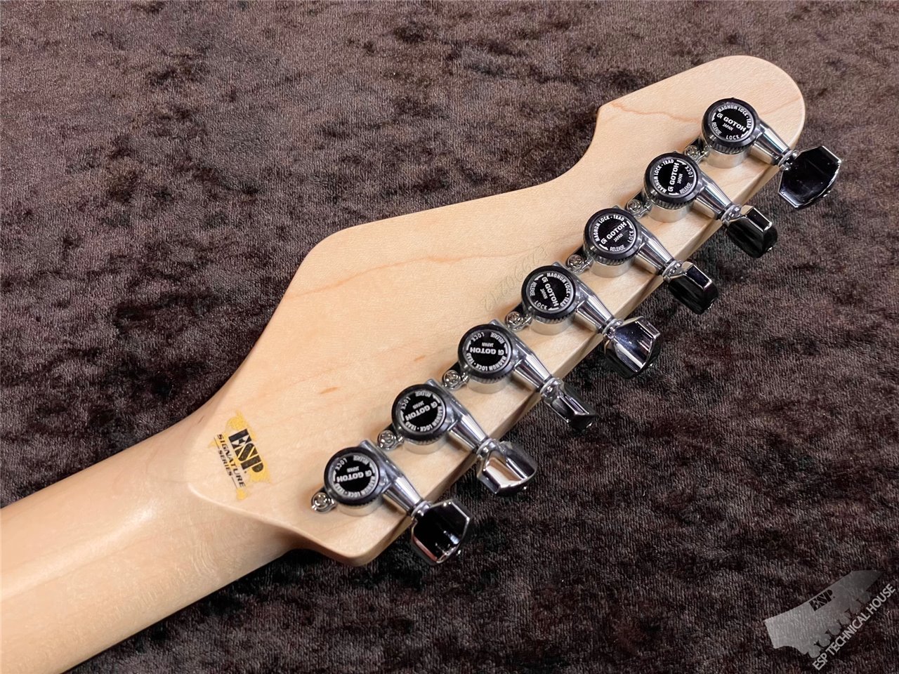 ESP snapper 7 fujioka custom 7弦 藤岡幹大 | ESP GUITARS