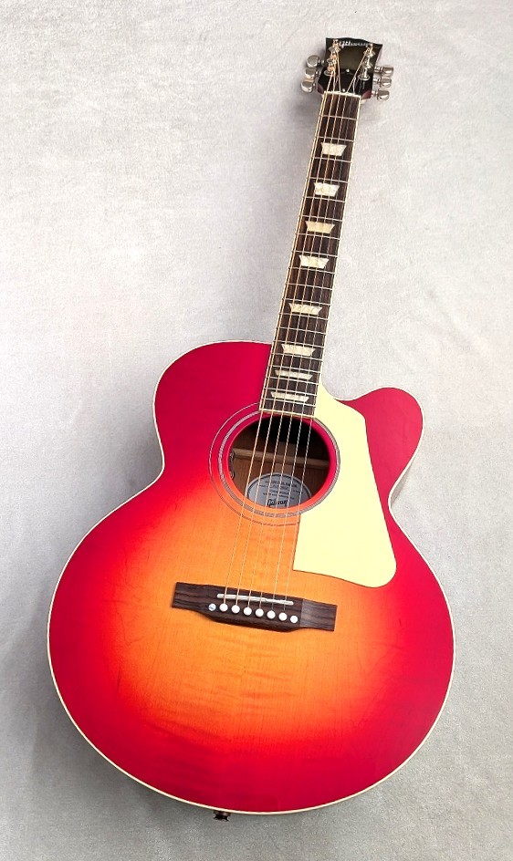 Gibson 【豪華3大特典アリ!】Les Paul Parlor Acoustic VCS【新