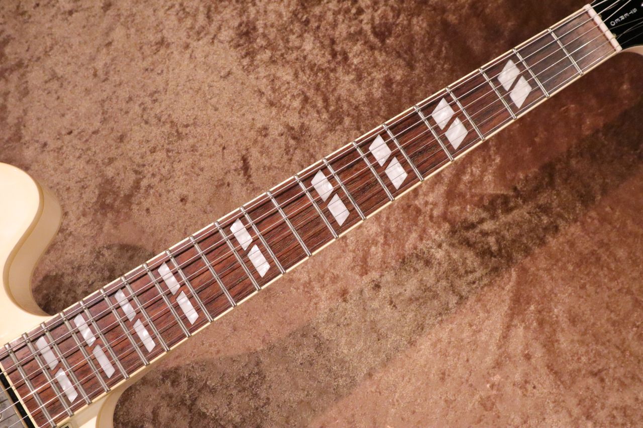 Epiphone 【レアモデル】Limited Model Dot ES-345 AW 【2011年製