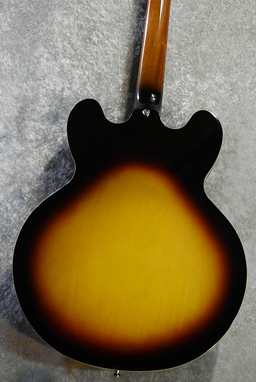限定　EPIPHONE ’６２SOLENTO 取り外しテールピース　美品 アルミストップテールピース ゴールド通販｜ギターワークス