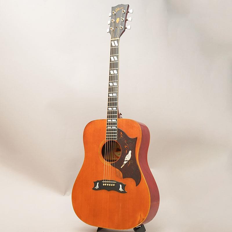 Gibson VINTAGE Dove Custom'78 ギブソン（ビンテージ）【楽器検索