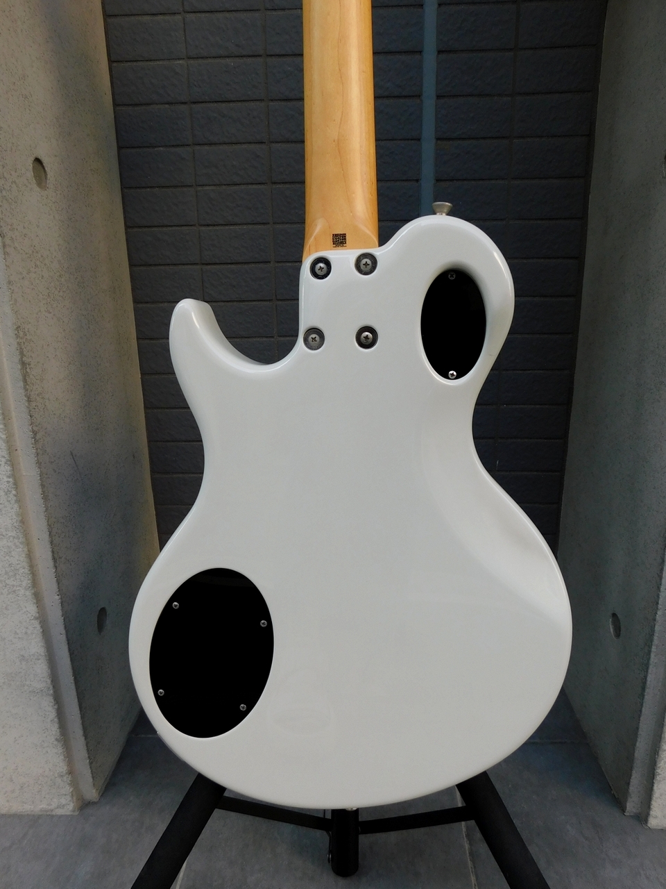 FREEDOM CUSTOM GUITAR RESEARCH RRS Bravery-12（中古）【楽器