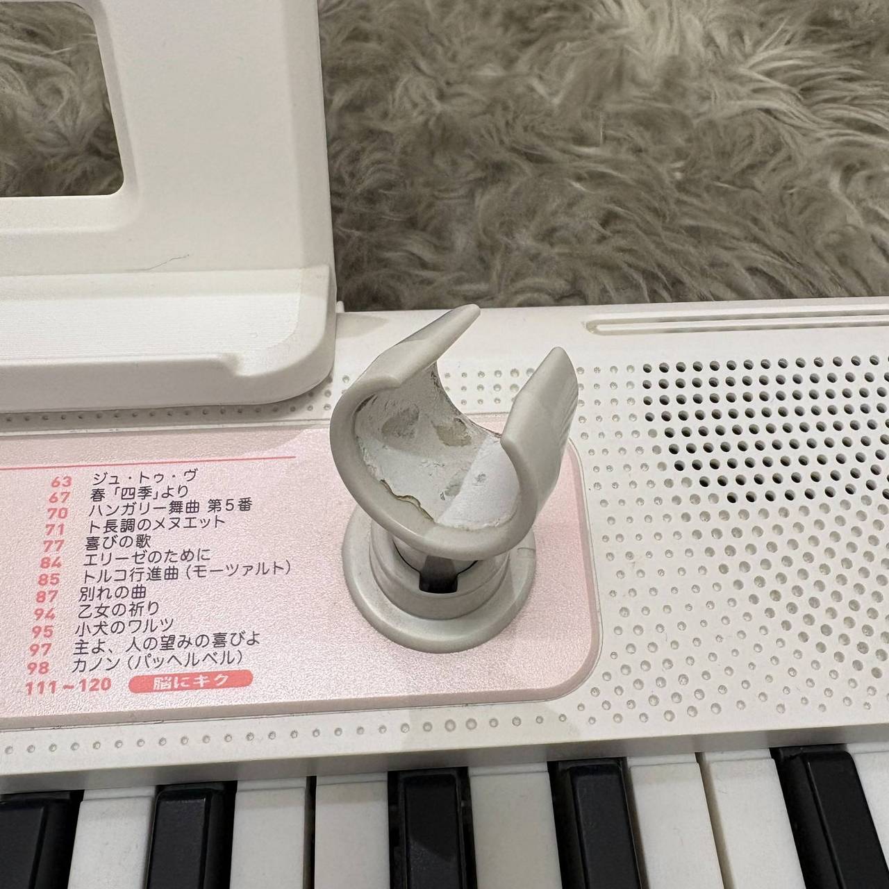 Casio LK-320（新品）【楽器検索デジマート】