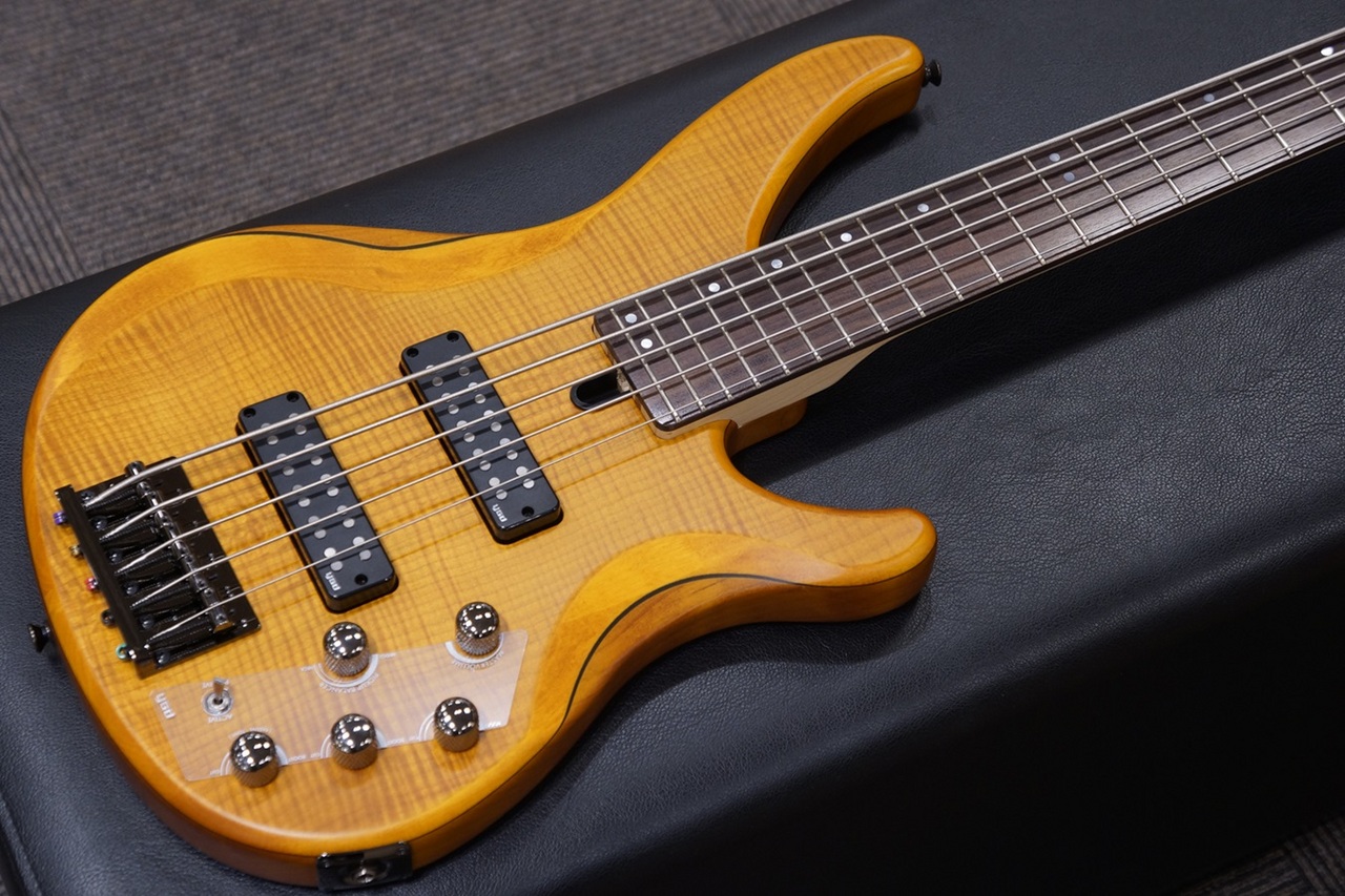 YAMAHA TRBX605FM / MAM (Mat Amber)