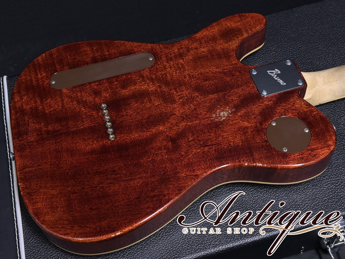 Bruno Guitars TN-295 Semi-Hollow 2024 Brass Powder Gold Aged