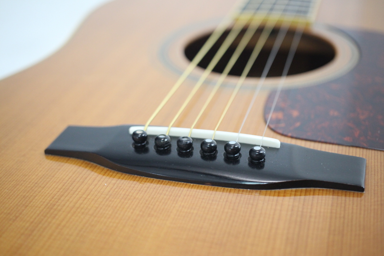 GALLAGHER GL-10（中古）【楽器検索デジマート】