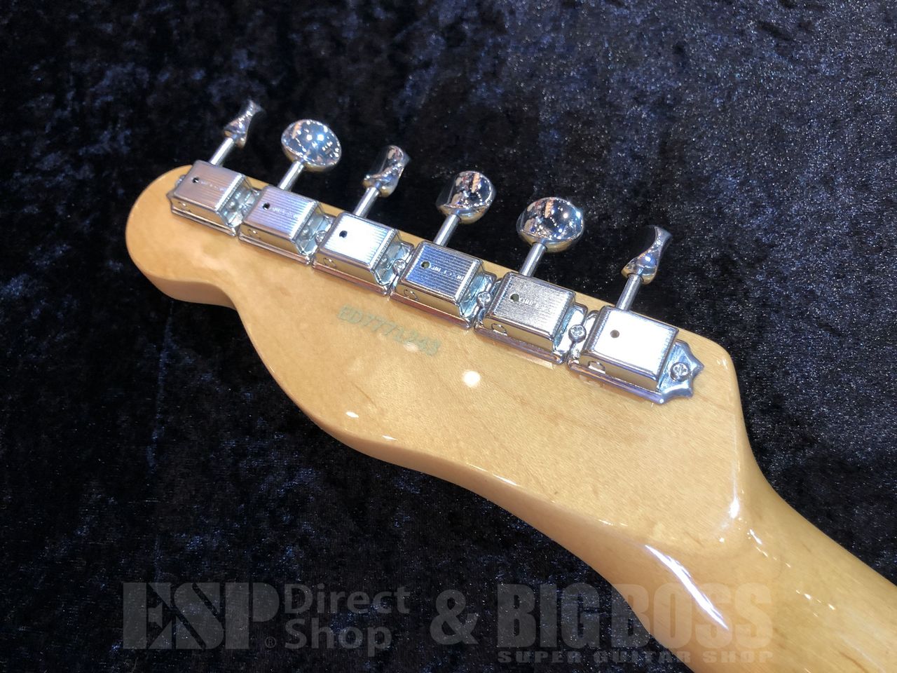 EDWARDS E-TE-ASM 【Vintage Natural】（新品/送料無料）【楽器検索